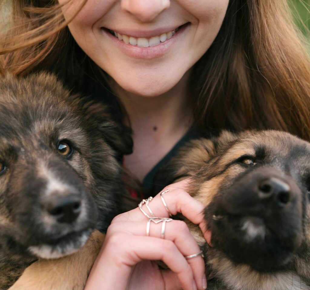 German Shepherd Puppies