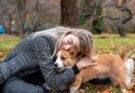 Corgi with owner in Central Park