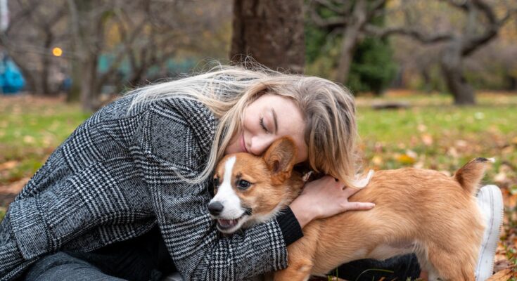 Corgi with owner in Central Park