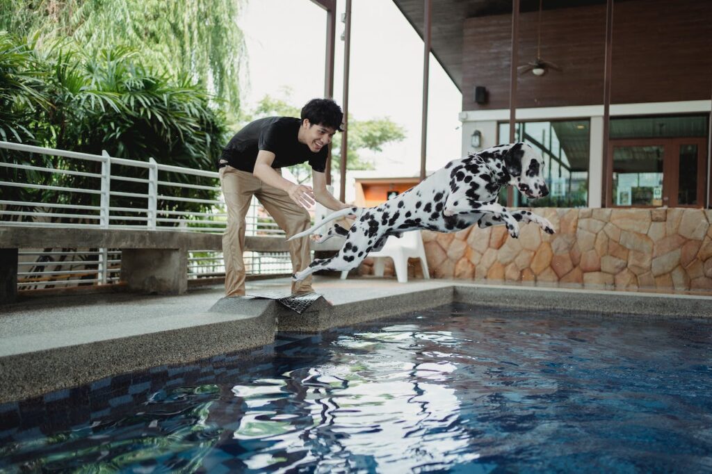 Dalmatian and owner enjoying swimming in a pool