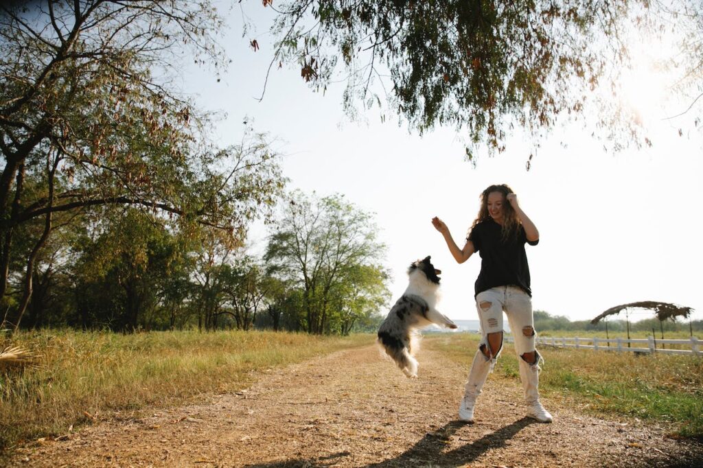 Woman and her Merle Sheltie