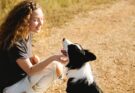 Woman and her Border Collie