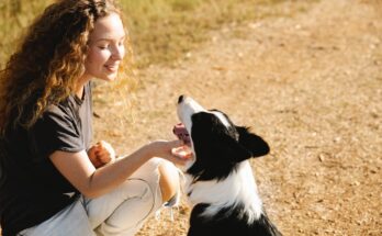 Woman and her Border Collie