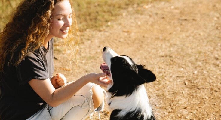 Woman and her Border Collie