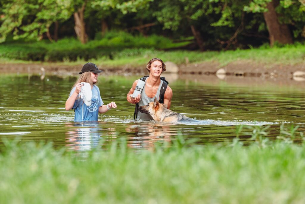 A German Shepherd playing with a couple in a river