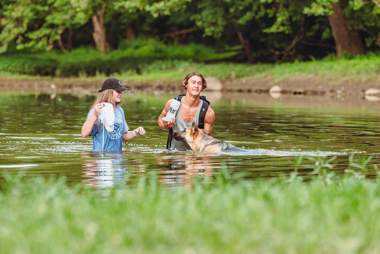 A German Shepherd playing with a couple in a river