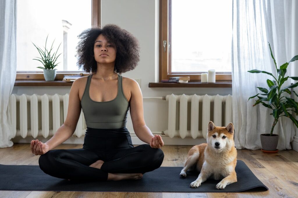 Shiba Inu Enjoying Yoga