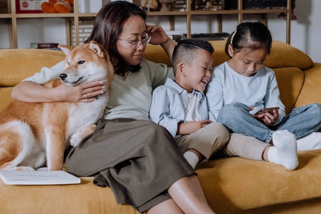 Shiba Inu with Family