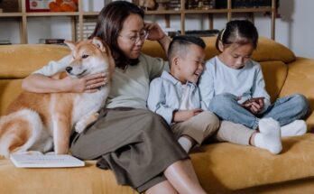 Shiba Inu with Family