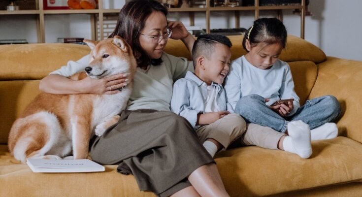 Shiba Inu with Family