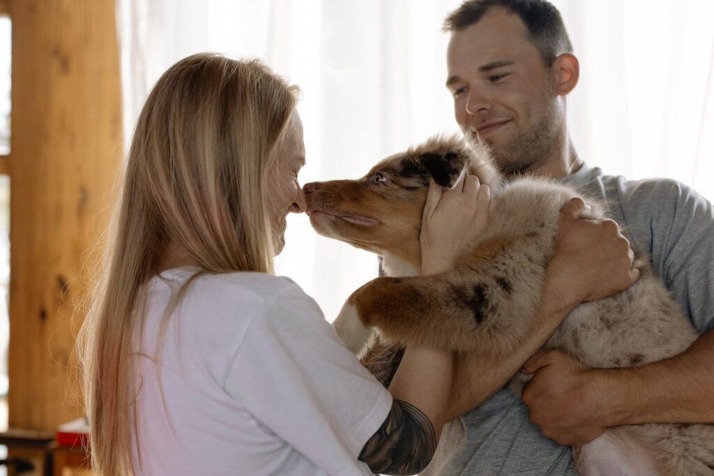 Australian Shepherd with Family