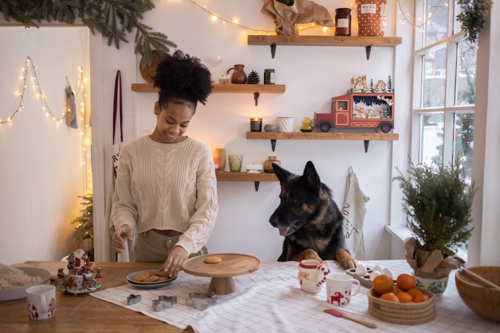 German Shepherd in the kitchen