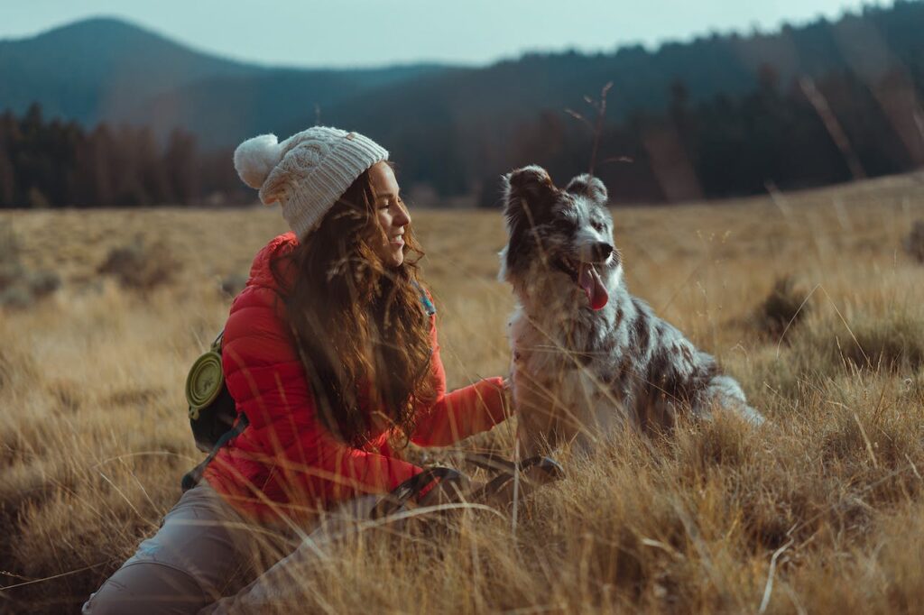 Australian Shepherd on a hike