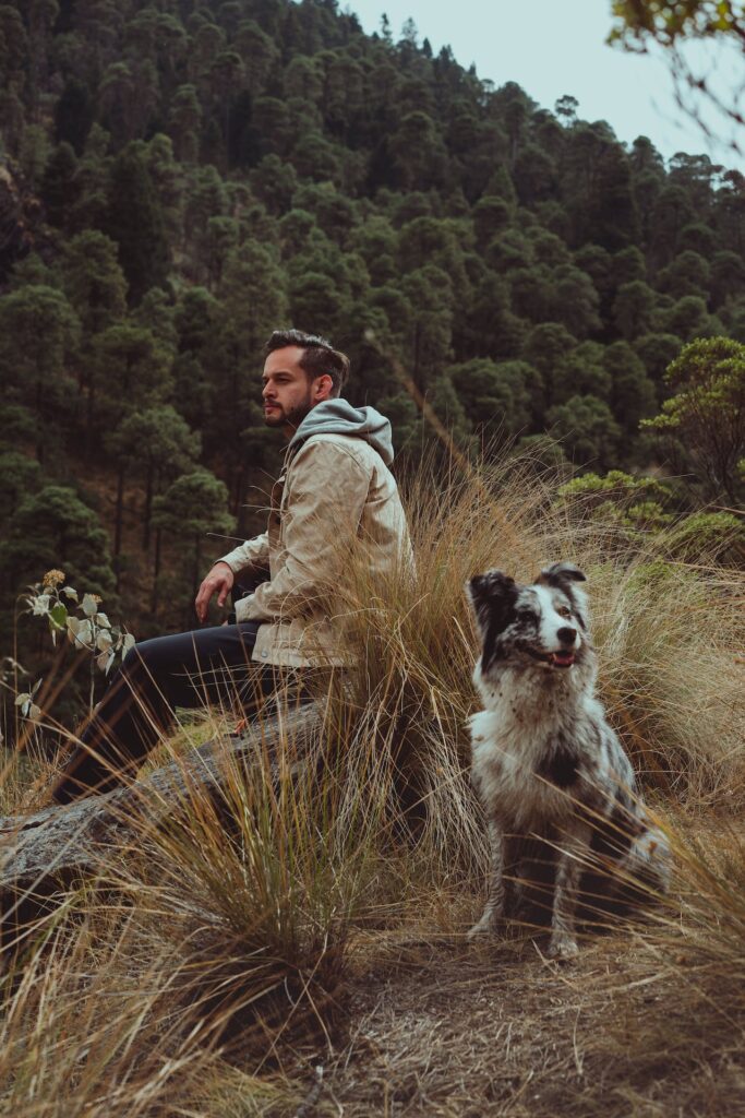 Australian Shepherd Hiking