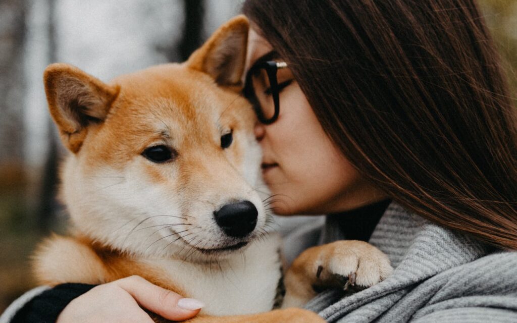 On a walk with her Shiba Inu