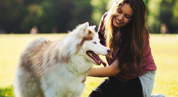 Malamute