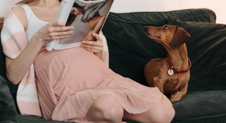 Dachshund with its owner