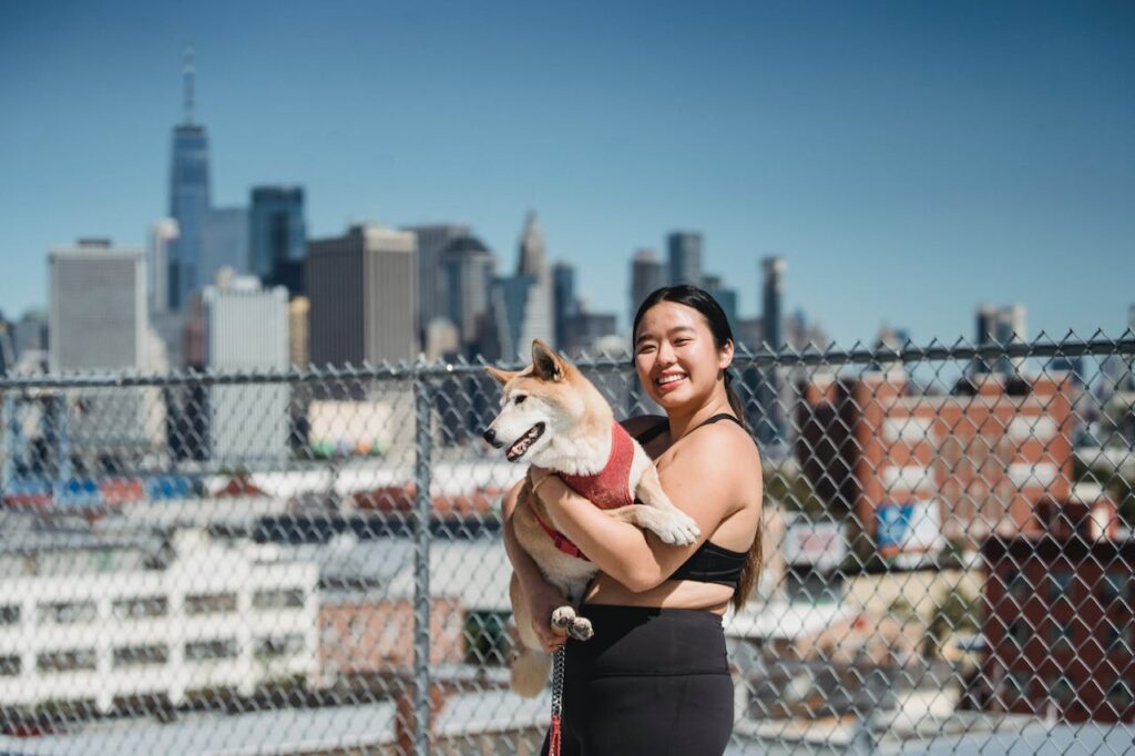 Shibu Inu in the City