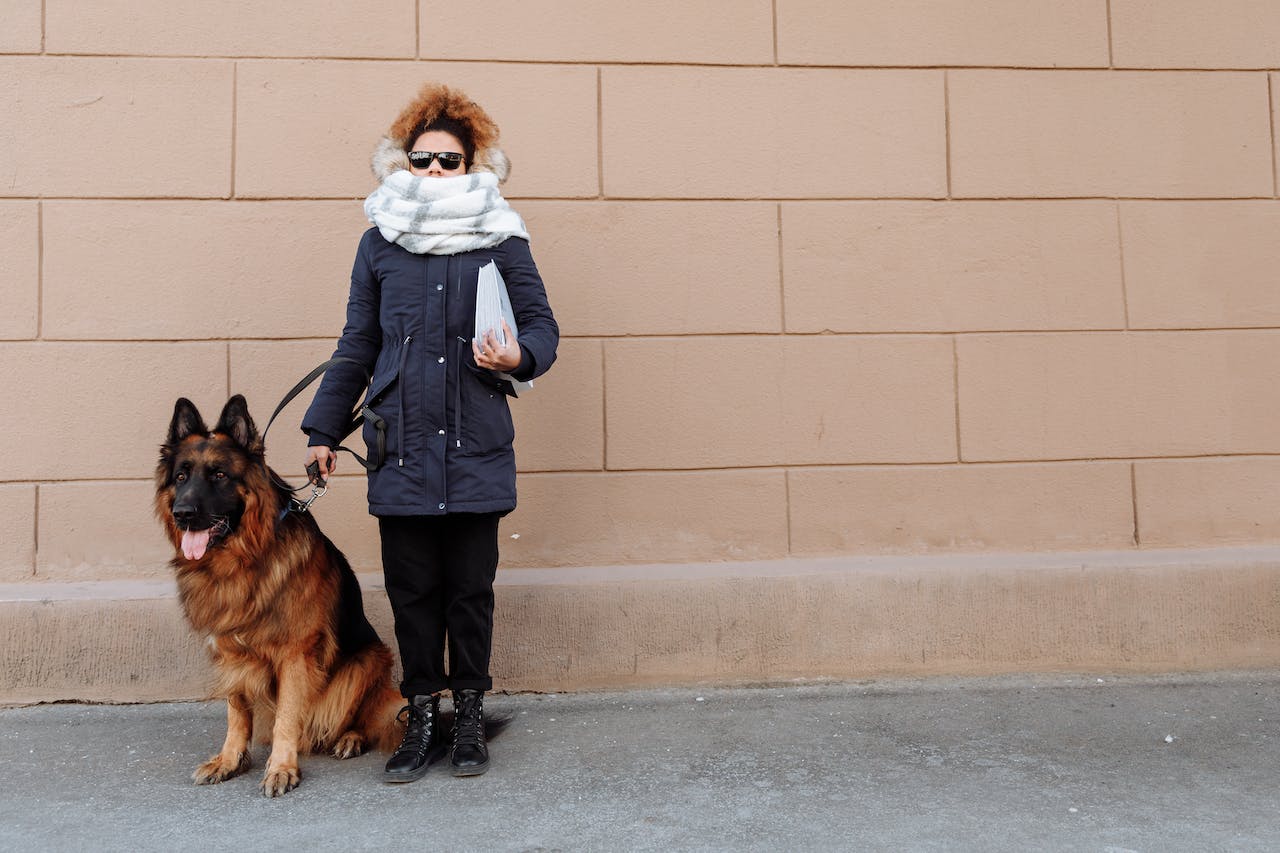 A German Shepherd with its owner in winter